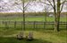 Bucolic setting