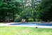 pool and yard