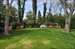 Lovely garden and lawn