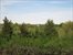 Overlooks 23 Acre Reserve