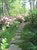 Stone path