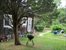Cottage # 1