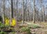 30+ acre reserve