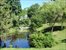 Pond