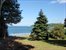 back yard view