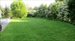 gorgeous lawns