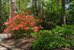 beautiful gardens