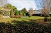 View of Yard and Pool