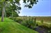 Meadows