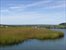 Summer views