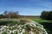 Farmfield Views