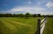 orchards