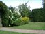 beautiful trees