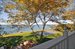 Master balcony with a point of view