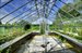 Green House