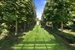 Avenue of Trees