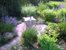 Herb  Garden