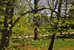 Stones Throw to Gardiners Bay