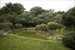 koi pond