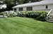 Hydrangeas in bloom all summer long