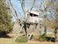 Tree House