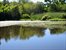 Pondfront