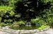 pond w/waterfall