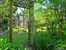 Lush gardens surround the property