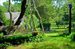 garden pathways