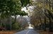 country lane