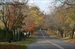country lane