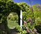 beautiful gardens