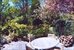 patio in bloom