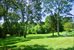 Two Gorgeous Acres