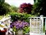 Lovely garden