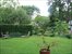 Beautiful Yard