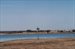 water view - osprey nest