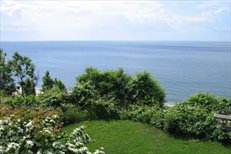 Peconic