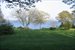 Lawn in the Spring