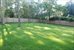 Spacious back yard
