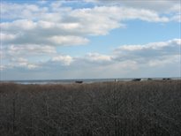 Montauk