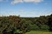 Bayviews