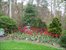 tulip gardens