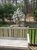 Teak bench and flowering tree