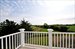Views of the vineyard