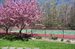tennis courts