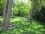 Many areas to relax