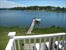 View of the dock from Master terrace