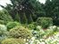 Flower garden