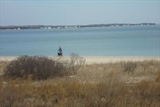 Peconic